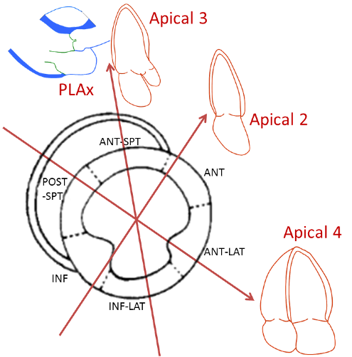 Advanced Cardiac Views – Cornell HM-POCUS